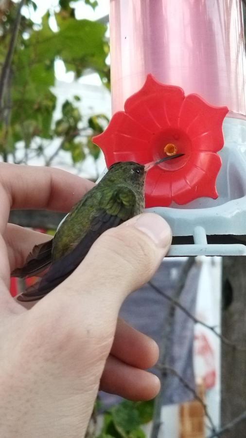 Hst Atelie Marli Marques Apartman Pelotas Kültér fotó